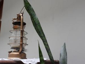 Gallery image of Gran Gocta Chachapoyas in Chachapoyas