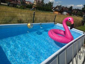 a swimming pool with two pink flamingos in it at DW Na Równi Białka Tatrzańska in Białka Tatrzanska
