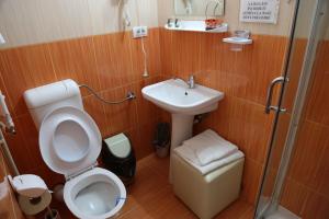 a bathroom with a toilet and a sink and a shower at Vila Aosta 21 in Sinaia