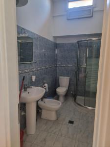 a bathroom with a toilet and a sink and a shower at Roan's apartament in Golem +9 photos