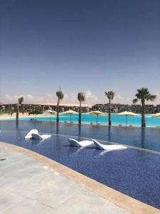 - une piscine avec des chaises blanches et des palmiers dans l'établissement Swan lake north coast magical stay, à Zāwiyat al ‘Awwāmah