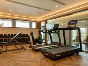 Fitness centrum a/nebo fitness zařízení v ubytování Sofitel Athens Airport