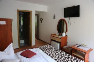 a bedroom with a bed and a dresser and a mirror at Vila Aosta 21 in Sinaia