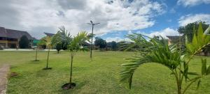 a field with palm trees and a wind turbine at Winterville Residence Gravatá por Yolo in Gravatá +76 photos