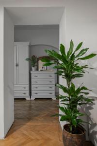 Imagine din galeria proprietății Valentina's Hideaway în Brașov