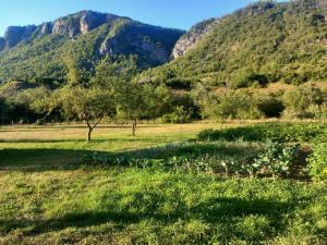 a field of grass with mountains in the background at Kamp kucice in Boan