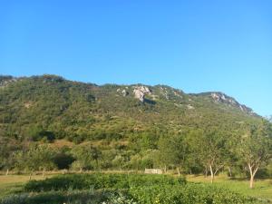 a mountain in the distance with a field and trees at Kamp kucice 