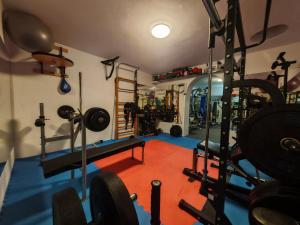ein Fitnessstudio mit Gewichten und Geräten in einem Raum in der Unterkunft Villa Infinity in Krk