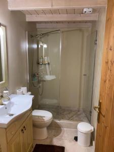 a bathroom with a shower and a toilet and a sink at Cheerful 3 bedroom cottage with indoor fireplace in Avgón +57 photos