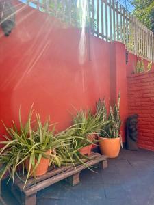 Galería fotográfica de Downtown Room en Asunción