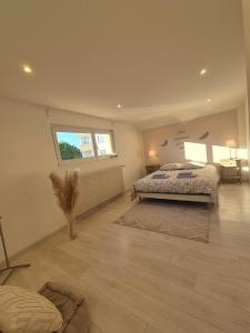 a large bedroom with a bed and a window at Escapade saint louis Basel in Saint-Louis