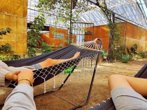 Dos personas tumbadas en una hamaca en un invernadero. en Paratiisi Camping, en Jälist