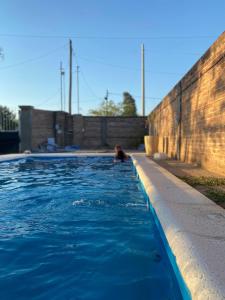 un chien allongé au bord d'une piscine dans l'établissement La Parcela, à Recreo