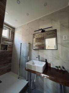 a bathroom with a sink and a mirror at Kuća za odmor Sofija in Beli Manastir +12 photos