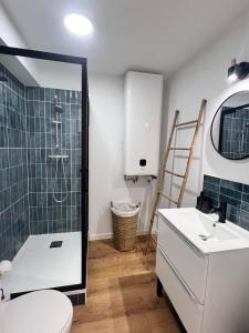 サン・シプリアン・プラージュにあるLe perroquetのシャワー、トイレ、洗面台を備えたバスルーム