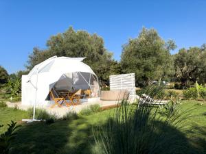 a yurt in a garden with trees in the background at La Fontana Glamping in Caria +49 photos
