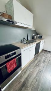 Kuchyň nebo kuchyňský kout v ubytování Apartmán Bessy