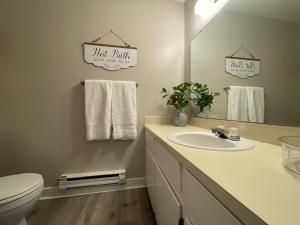 a bathroom with a sink and a toilet and a mirror at Campus West Nest - King Bed, Walk to CSU in Fort Collins +21 photos