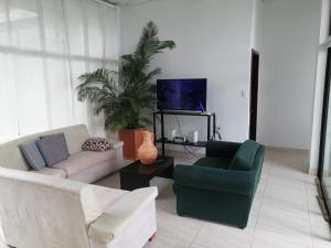 a living room with two couches and a tv at VILLA CARO in Palestina