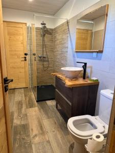 a bathroom with a sink and a toilet and a shower at magnifique duplex 8 couchages in Vars +10 photos