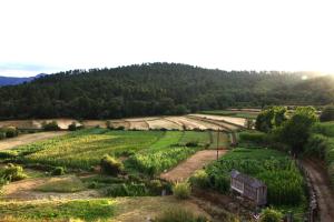 an aerial view of a field with trees at Casa do Caneiro in Vila Real