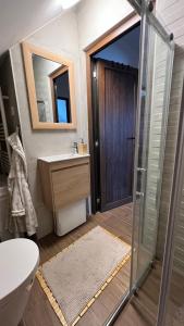 Koupelna v ubytování Vujkina kuća - Rural Holiday Home I Ruralna kuća za odmor