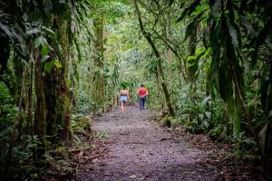two people walking down a trail in the rainforest at CASA DE CAMPO JACUZZI MONTAÑA NATURALEZA Leso in San Lorenzo +9 photos