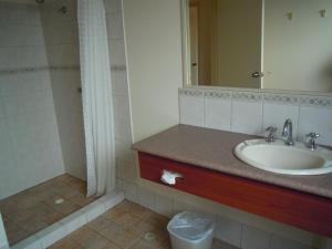 a bathroom with a sink and a shower at Tree Top Walk Motel in Walpole