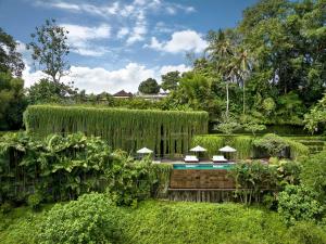 a garden with a swimming pool and some trees at Chameleon Villa Bali in Tabanan