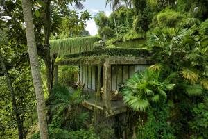 an old house in the jungle with ivy at Chameleon Villa Bali in Tabanan