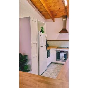 a kitchen with a white refrigerator in a room at Blue Wren Mews in Halls Gap
