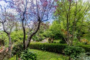 a path through a garden with trees and bushes at Il Boschetto Di Castagni in Soriano nel Cimino