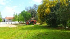 Zahrada ubytování Agriturismo Le Tagliate