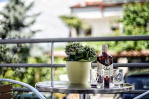 Fotografie z fotogalerie ubytování Apartments Cvek 2 v Rovinji