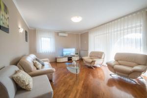 Una sala de estar con dos sofás y un televisor. en Villa Ritoša, a beautiful pool villa surrounded by greenery, en Trviž