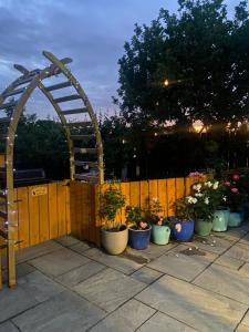 a group of potted plants sitting next to a fence at Chez Little Black Cat in Patrington