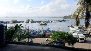 Er liggen boten in een haven. bij Ocean Whisper Guest House in Mirissa +26 foto's