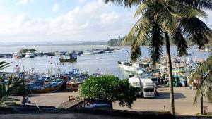 eine Reihe von Booten liegen in einem Hafen vor Anker in der Unterkunft Ocean Whisper Guest House in Mirissa