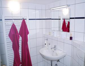 Ένα μπάνιο στο Ferien-Wohnung am Menzer-Park +18 φωτογραφίες
