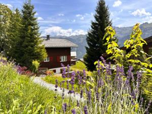 a garden with purple flowers in front of a house at Revier mon désir in Braunwald