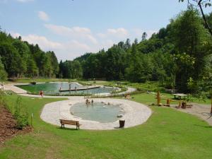 a park with a pond with people in it at Pension Kaiserhaus in Ühlingen-Birkendorf