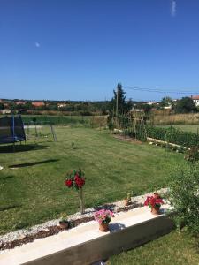 a garden with two potted plants and a playground at Apartment Brno in Škatari