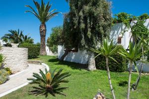 a garden with palm trees and a house at Contaratos Beach Hotel in Naousa