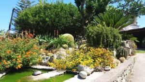 einen Garten mit einem Teich mit Blumen und Pflanzen in der Unterkunft Casa Ischia in Ischia