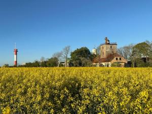 Zahrada ubytování Meerglück am Beltblick Fehmarn - Moderne Ferienwohnung direkt an der Ostsee mit Sauna für Familien und Paare + 27 fotografií