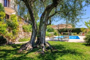 un árbol en el patio de una casa con piscina en VILLA les TEMPLIERS, en Vence