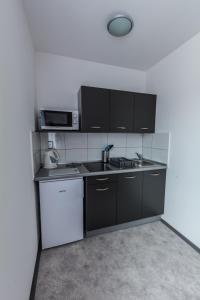 Kuchyňa alebo kuchynka v ubytovaní Apartmány Vilma