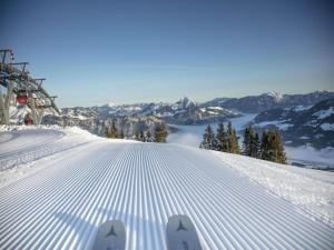 Cozy Apartment in Aschau im Zillertal near Ski Lift talvel