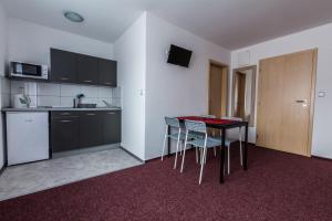 Kuchyňa alebo kuchynka v ubytovaní Apartmány Vilma