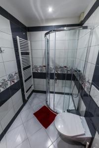 a bathroom with a shower and a toilet at Apartmány Vilma in Lednice